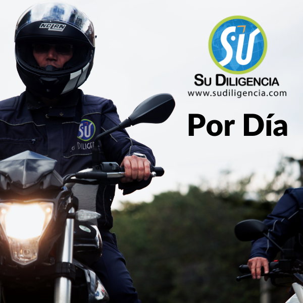 Su diligencia - Servicios por día